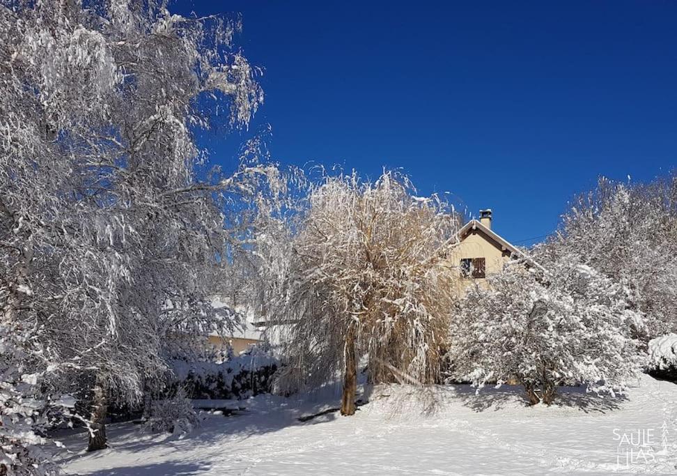 Studio Cosy Et Fonctionnel Entre Saule Et Lilas Villard-de-Lans Dış mekan fotoğraf