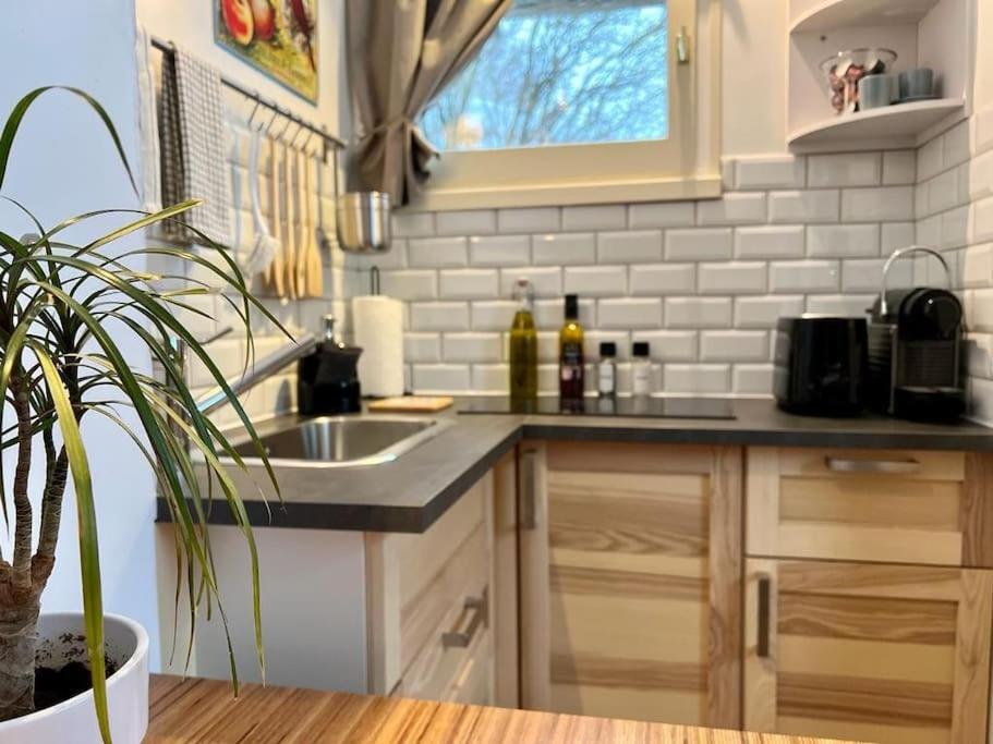Studio Cosy Et Fonctionnel Entre Saule Et Lilas Villard-de-Lans Dış mekan fotoğraf